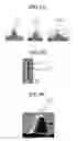 Fig. 12 - Apparatus for fabricating light guide panel and backlight unit having the light guide panel