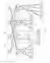 Fig. 19 - Layer two over multiple sites