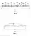Fig. 07 - Distributed ad hoc mesh network protocol for underground mine and hazardous area communications