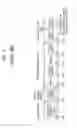 Fig. 02 - Method for transmitting uplink signals