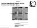 Fig. 08 - Ranging channel structures and methods