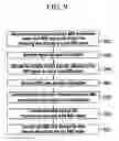 Fig. 10 - Apparatus and method for transmitting and receiving multicast broadcast service data