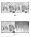 Fig. 10 - System and method for transmission, processing, and rendering of stereoscopic and multi-view images