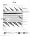 Fig. 06 - Digital broadcasting system and method of processing data