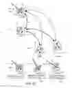 Fig. 12 - Target Tracking for image-guided radiation treatment