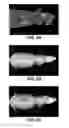 Fig. 06 - Apparatus and method for multi-modal imaging