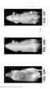 Fig. 07 - Apparatus and method for multi-modal imaging