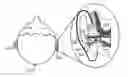 Fig. 01 - Hearing aid apparatus