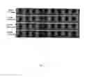 Fig. 10 - Method and system for wholesomeness inspection of freshly slaughtered chickens on a processing line