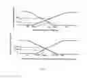 Fig. 18 - Method and system for wholesomeness inspection of freshly slaughtered chickens on a processing line