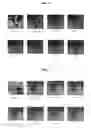 Fig. 05 - Method of time-efficient stereo matching