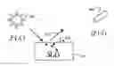 Fig. 01 - Image processing