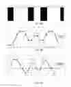 Fig. 07 - Auto-focus image system