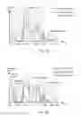 Fig. 19 - Auto-focus image system