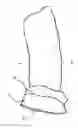 Fig. 05 - BAG WITH SEALING DEVICE AND COLLAR FOR DISPOSING OF WASTE