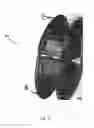 Fig. 14 - BAG WITH SEALING DEVICE AND COLLAR FOR DISPOSING OF WASTE