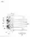 Fig. 02 - Focal plane shutter and optical device