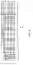Fig. 10 - Coating and developing apparatus