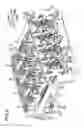Fig. 07 - Process cartridge and image forming apparatus