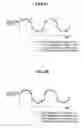 Fig. 05 - IMAGE FORMING APPARATUS