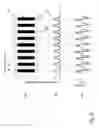 Fig. 09 - Image forming apparatus