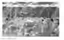 Fig. 01 - Insert for milling of cast iron