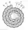 Fig. 01 - AUXILIARY MEMBER FOR COIL NAILS