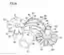 Fig. 05 - Single screw compressor