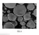 Fig. 04 - Methods for producing molybdenum/molybdenum disulfide metal articles