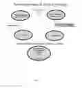 Fig. 02 - Bioartificial liver