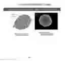 Fig. 03 - Bioartificial liver