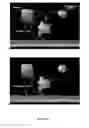 Fig. 15 - Bioartificial liver