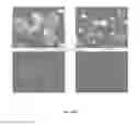 Fig. 23 - Bioartificial liver