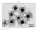Fig. 07 - THIN-FILM HIGH-ACTIVITY GAS SENSOR USING CORE-SHELL STRUCTURED COMPOSITE NANOPARTICLES AS SENSING MATERIAL AND METHOD OF MANUFACTURING THE SAME