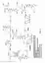 Fig. 05 - PSMA-targeting compounds and uses thereof