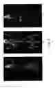 Fig. 06 - PSMA-targeting compounds and uses thereof