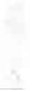 Fig. 32 - PSMA-targeting compounds and uses thereof