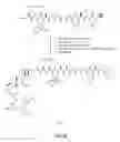 Fig. 13 - Gastrin releasing peptide compounds