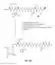 Fig. 17 - Gastrin releasing peptide compounds