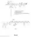 Fig. 22 - Gastrin releasing peptide compounds