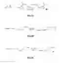 Fig. 29 - Gastrin releasing peptide compounds