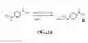 Fig. 53 - Gastrin releasing peptide compounds