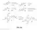 Fig. 55 - Gastrin releasing peptide compounds