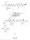 Fig. 57 - Gastrin releasing peptide compounds