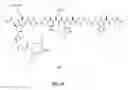 Fig. 71 - Gastrin releasing peptide compounds