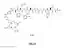 Fig. 77 - Gastrin releasing peptide compounds