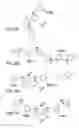 Fig. 06 - OPTICAL DETERMINATION OF GLUCOSE UTILIZING BORONIC ACID ADDUCTS