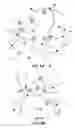 Fig. 07 - OPTICAL DETERMINATION OF GLUCOSE UTILIZING BORONIC ACID ADDUCTS