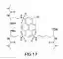 Fig. 19 - OPTICAL DETERMINATION OF GLUCOSE UTILIZING BORONIC ACID ADDUCTS