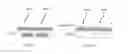 Fig. 02 - Poly (non-conjugated diene) based sunscreens